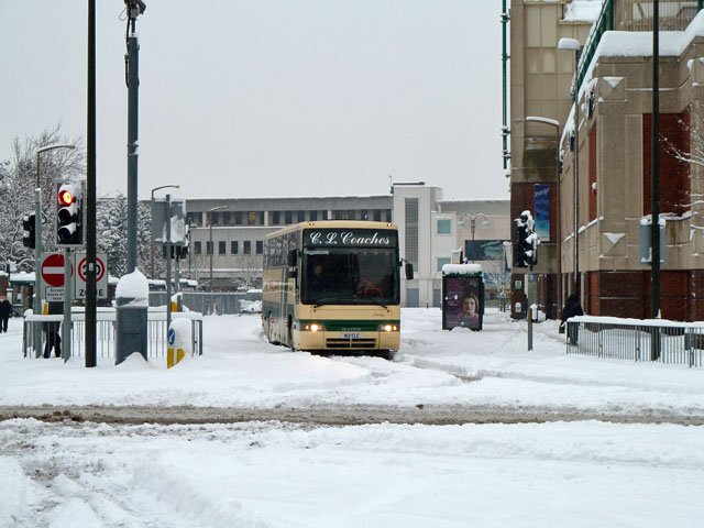 Luxury Coach