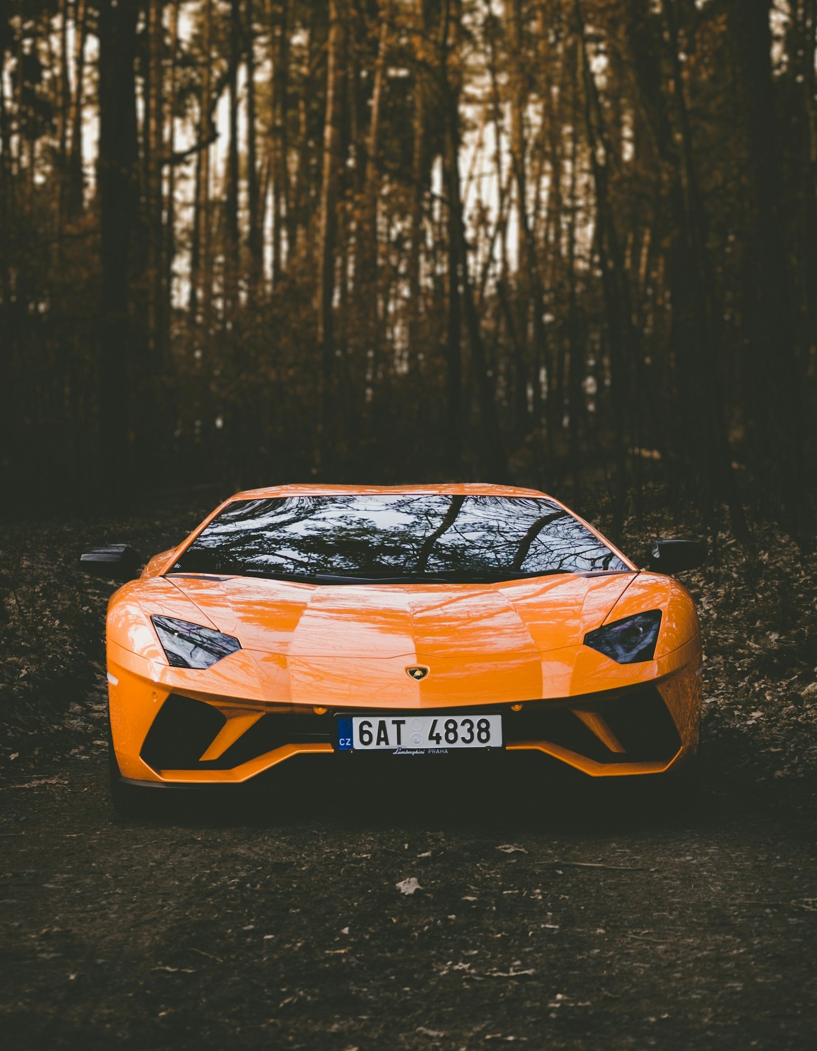 Wedding Transportation