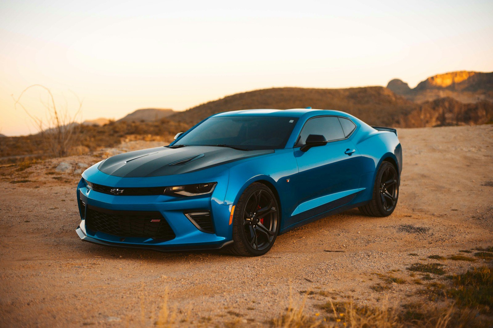 Local Car Rental